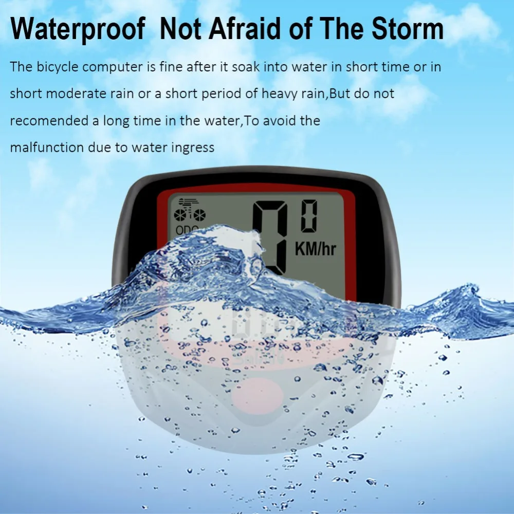 11753882738_1742667891