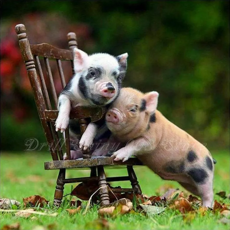 

5D DIY diamond painting Cute Animal piggy, pig Full Drill Diamond Embroidery Cross Stitch Mosaic Craft Home Decor Christmas Gift