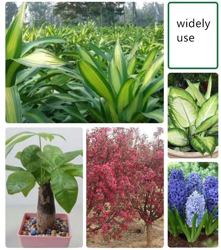 e4f9b6d2-3da9-497f-913f-21d8b699e17d