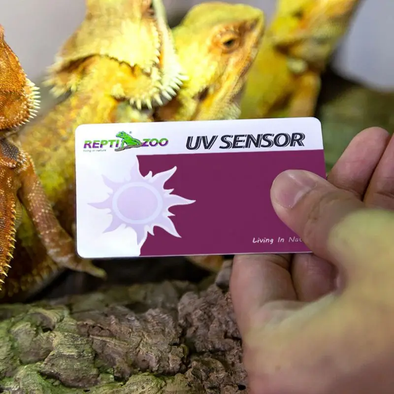 Juego de terrario para reptiles, tarjeta de prueba UVB, lámpara de luz UV, papel para pruebas de vida