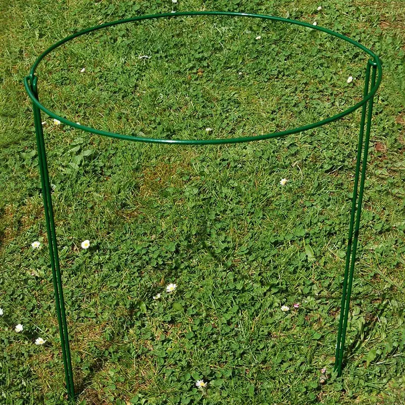 New 2 Pcs Flower Plant Support Stakes Semi Circular Metal Frame Professional for Garden SF66
