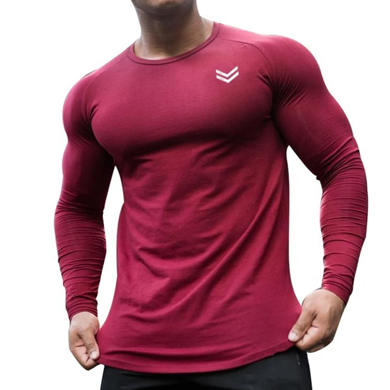 opgraven Kameel schaduw Workout Tshirt Sportswear | Fitness Gym Shirt | Gym Shirt Men | Sport Shirt  - Autumn - Aliexpress