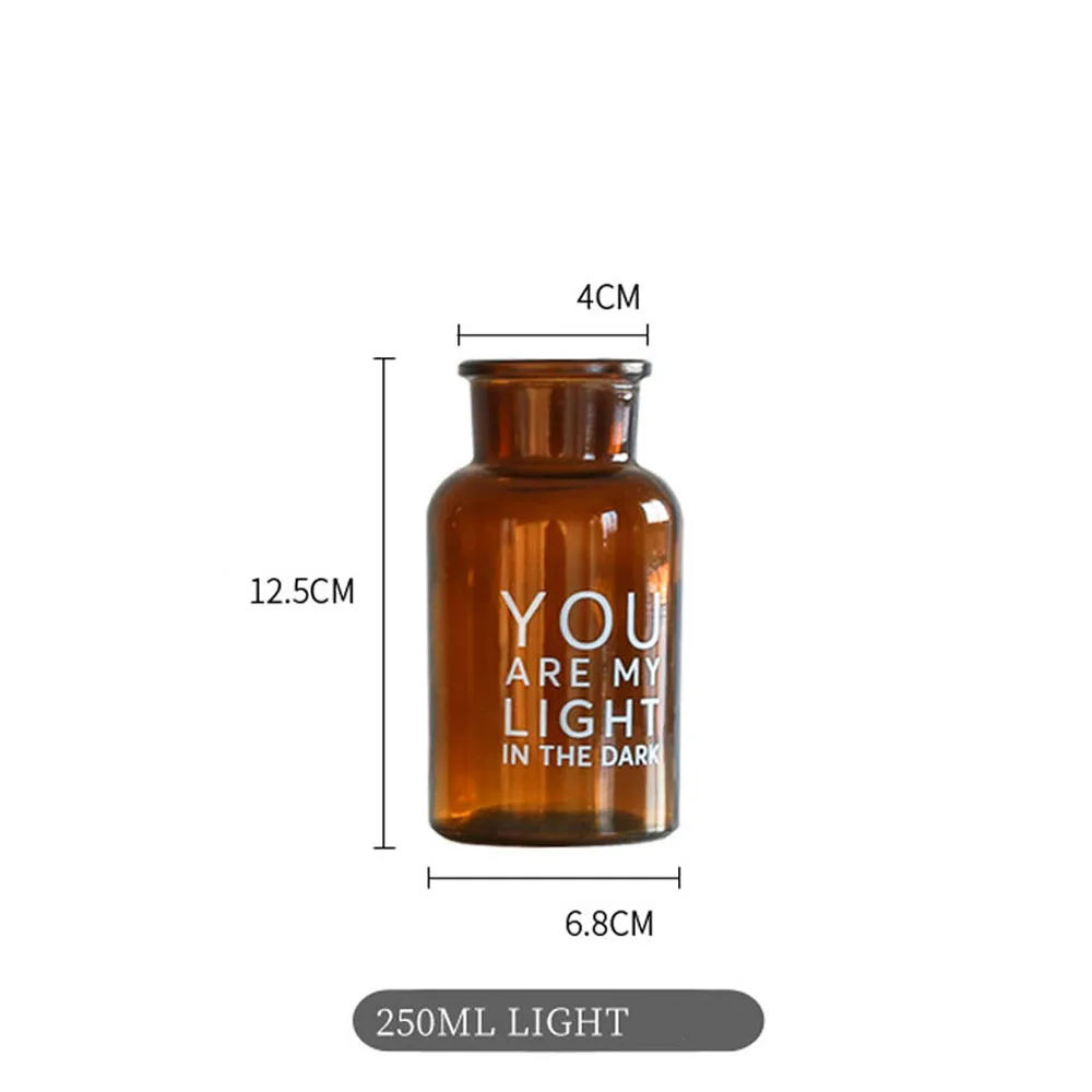 Винтажная коричневая стеклянная ваза, скандинавский рабочий стол, сухая Цветочная банка для хранения, Рождественский Декор, бутылка свежего цветка Ins, простой контейнер для растений - Цвет: F 250ml