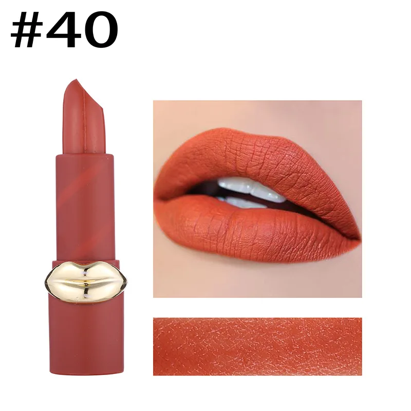 Lipstick Professional Makeup Set Makeup Kit Matte Lipsticks Waterproof Long Lasting Gloss Lips Sexy Red Matte Lipsticks Cosmetic