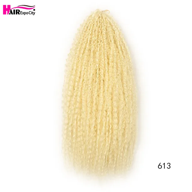 20-28 Inch Afro Kinky Curly Crochet Braids Hair Ombre Braiding Hair Extensions Marly Hair For Women Brown 613 Hair Expo City #613