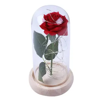 

Valentine's Day Rose Flower And LED Light String In Glass Dome On Wooden Base The Best Gift For Women(Battery Not Included)
