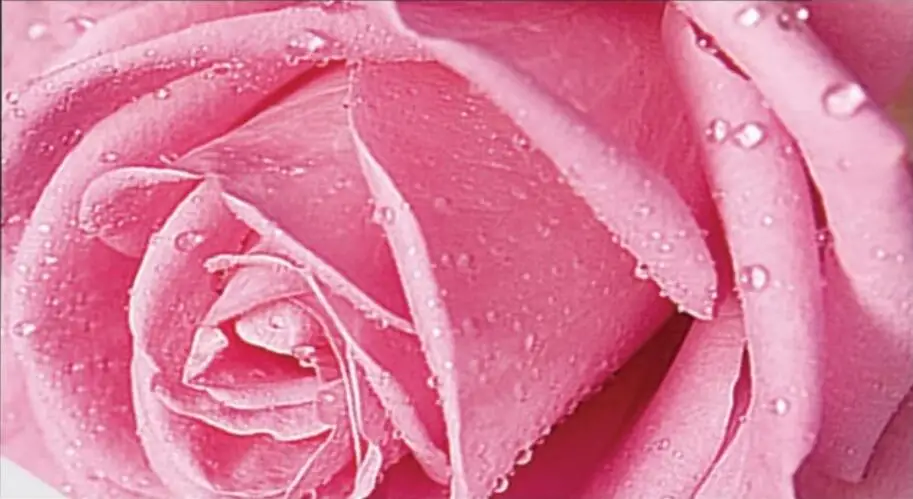 QQ截图20190717171343