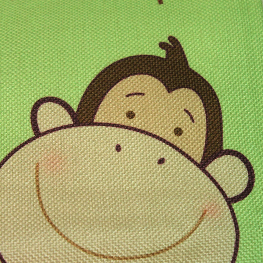 CC163_Monkey_2