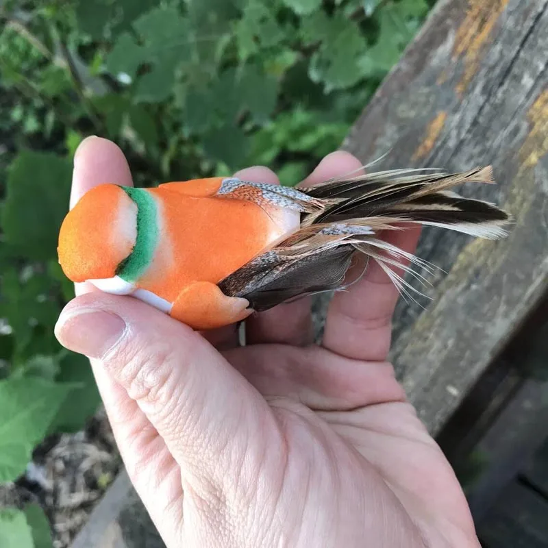 HTB1CRKzmKuSBuNjy1Xcq6AYjFXaV