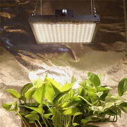 Panneau lumineux de croissance LED Quantum 140W Samsung LM301B, intensité variable, spectre complet, lampe pour serre intérieure, plantes 