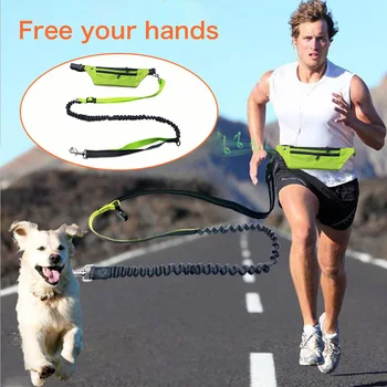 

Multifunctional Dog Leash For Small Medium Dogs Pet Products Waterproof Waist Bag Sports Running Traction Belt Dog Leash