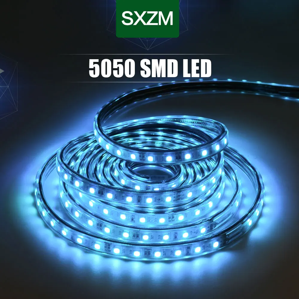 AC220V RGB гибкая светодиодная лента 5050 RGB сменный цвет с 24-клавишным пультом дистанционного управления IP67 водонепроницаемый наружный светодиодный светильник