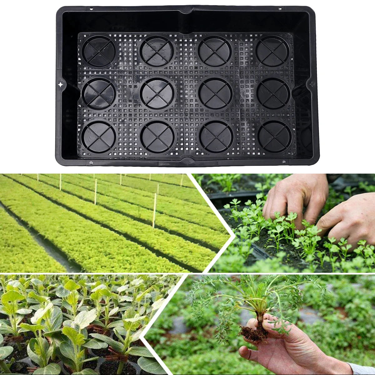 Plastic Plant Nursery Pots Nursing Tray Seeding Gardening Bonsai Plate Seedling Basin For Greenhouse Home Garden | Дом и сад