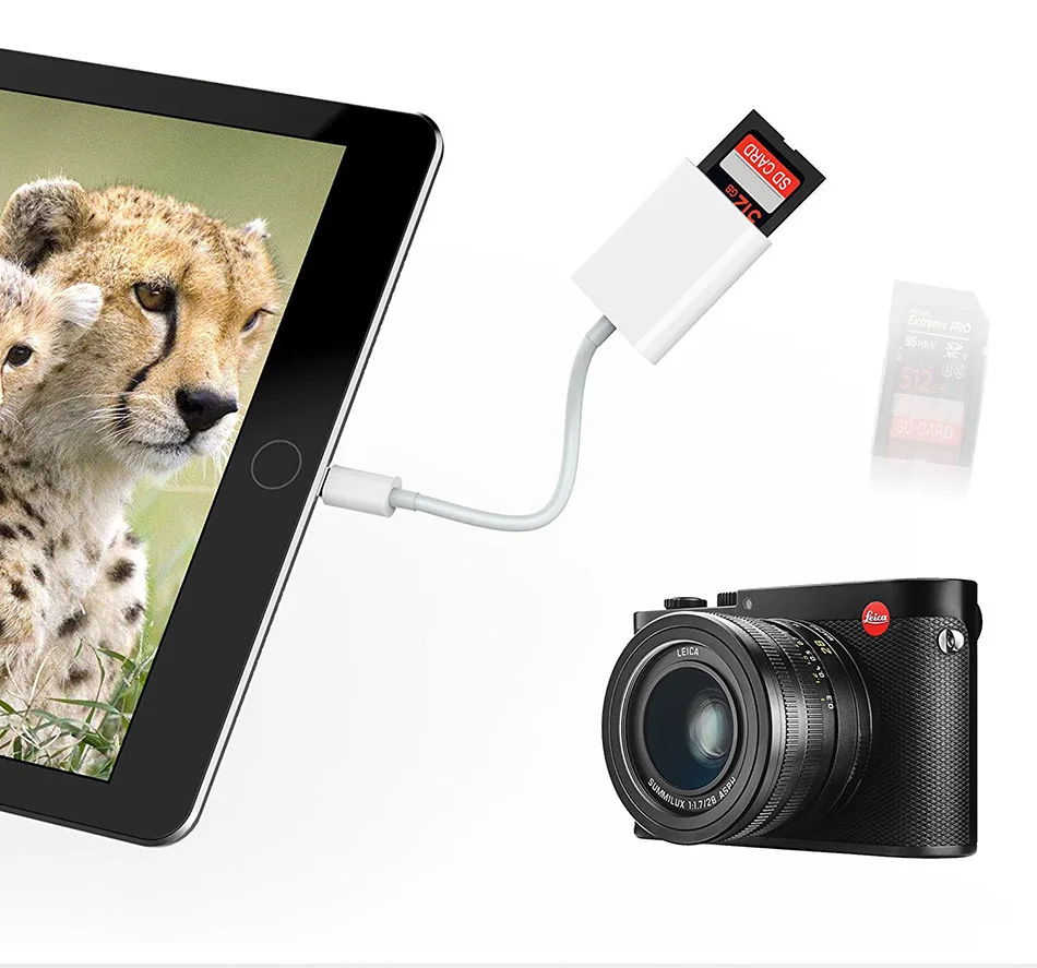 12369406928_1592954700