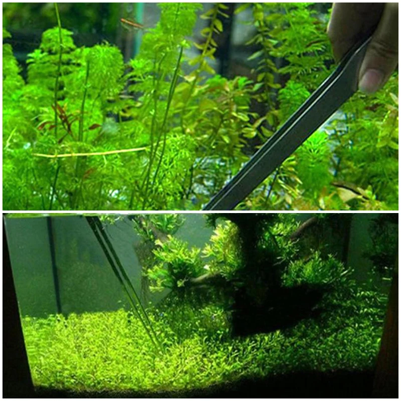 Aquarium Accessories Curved Aquarium Tweezers Aquarium Plant Shrimp Reef Tweezer Fish Tank Cleaner Stainless Steel Cleaning Tool