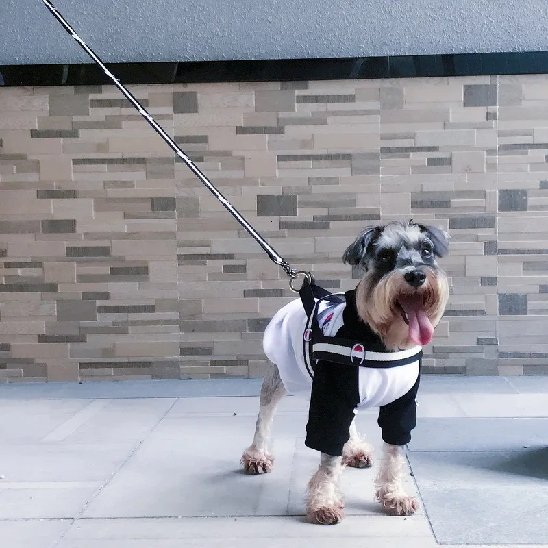 webwxgetmsgimg (18)_