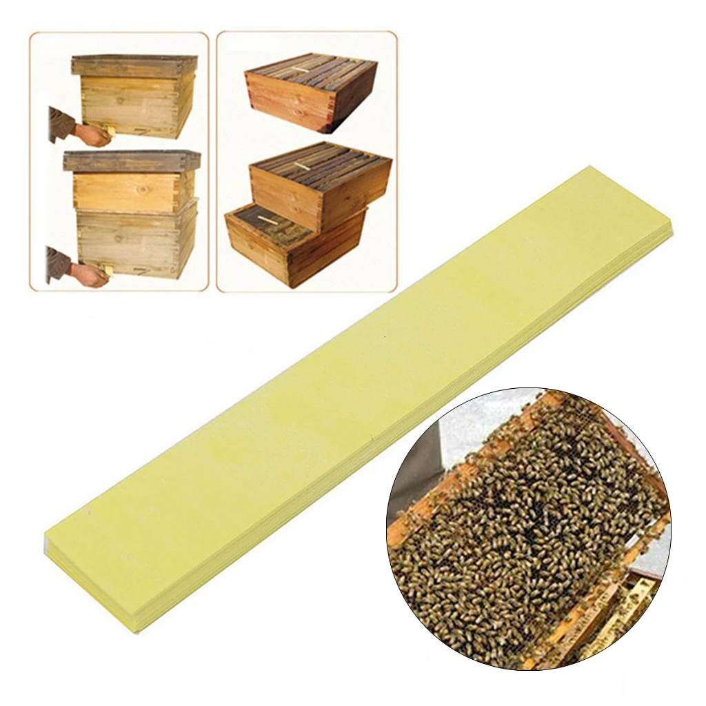 20 Strips Fluvalinate Varroa Mite Killer Beekeeping Medicine Tool for Beekeeping