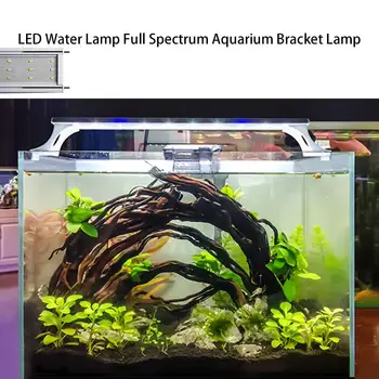 

220V 8W 24LED Underwater Lamp Full Spectrum Aquarium Light Bracket Lamp for Fish Tank Lighting