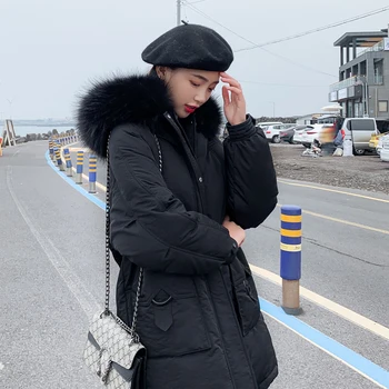 

2020 new design Korean Style Winter Jacket Women Stand Collar Solid Female Down Coat Loose Oversized Womens Short Parka coat 30