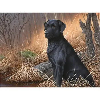 

5D DIY Diamond Painting Black dog landscape Full Square Round Rhinestones Painting Diamond Embroidery Decoration Cross Stitch