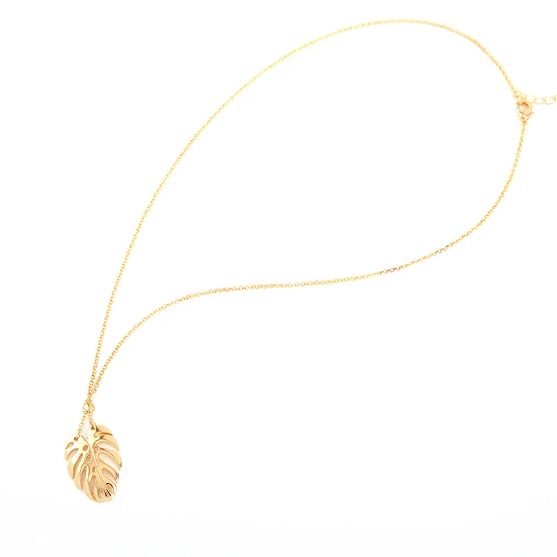 xl00975d (6)