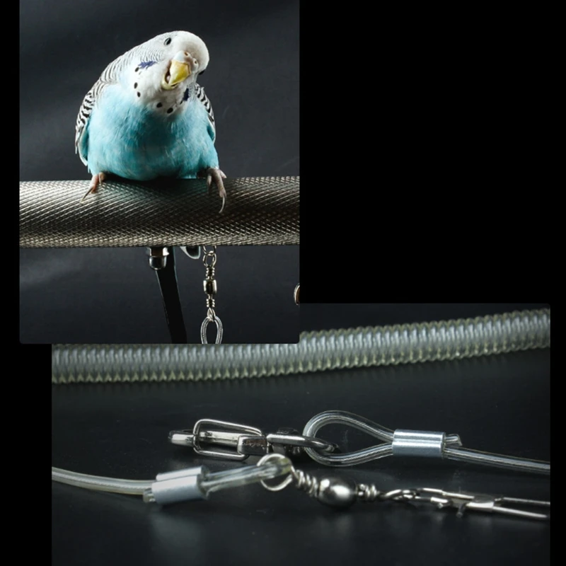 1 Pc 6m Parrot Bird Harness Leash Anti-bite Outdoor Flying Training Rope Pet Supplies for Parakeet Cockatoo Cockatiel Conure