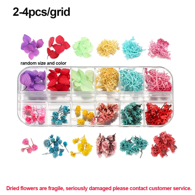 1Box Dried Flowers Dry Plants for Rsein Molds Fillings Epoxy Resin Pendant Tweezers Jewelry Making Craft DIY Nail Art Decoration Style 11