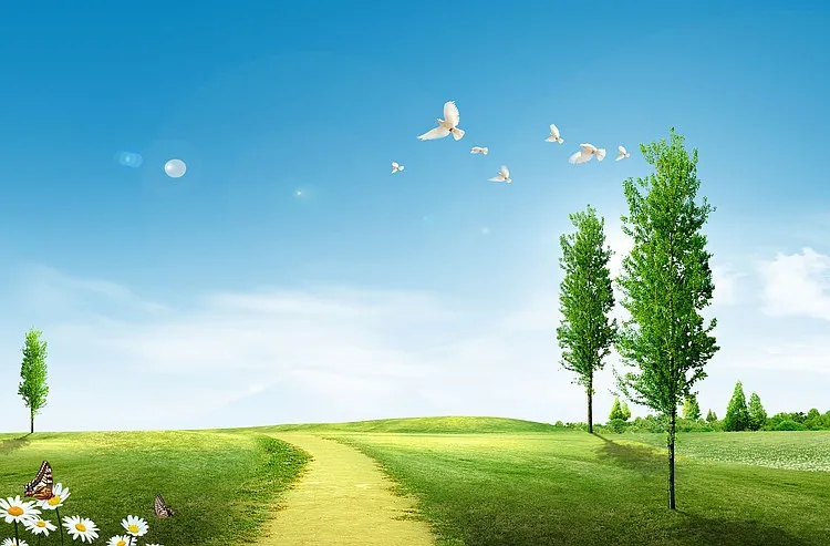 草地小路鲜花春夏风景海报背景素材背景图片素材免费下载 图片编号ygjlledj Pngbag素材网