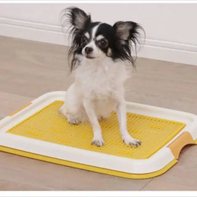 Puppy poop tray Clearance