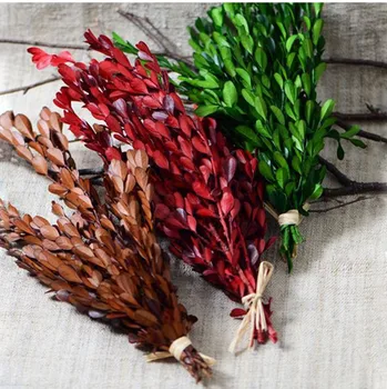 

50g/lot,Natural Fresh Preserved Buxus Sinica,Immortal Flower for Wedding Party Home Decoration accessories,Flower arrangement