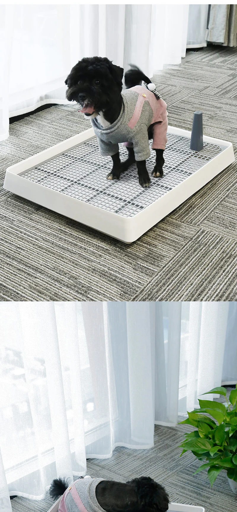 狗厕所_07