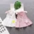 Baby Girls Dress 2021 Summer Cute Cartoon Baby Princess Birthday Party Mesh Dresses Costume Toddler Младенческая Детская Одежда
