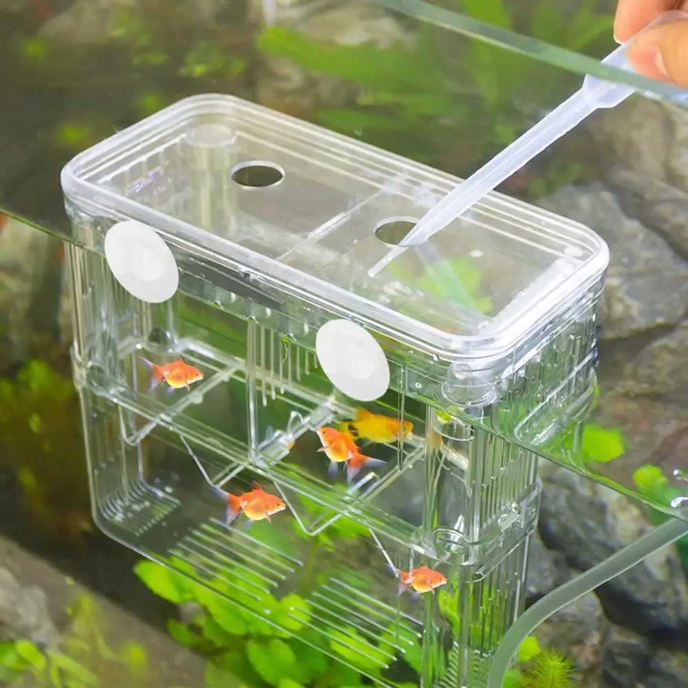 floating breeder box