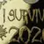 Я ВЫЖИЛ 2020 Памятная монета Памятная Марка Печать Тяжелых лет Домашнее Украшение собака Сувенир для Рождественских подарков