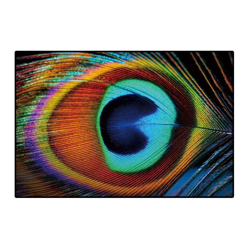 baidi__0000s_0000_dz26 (4)