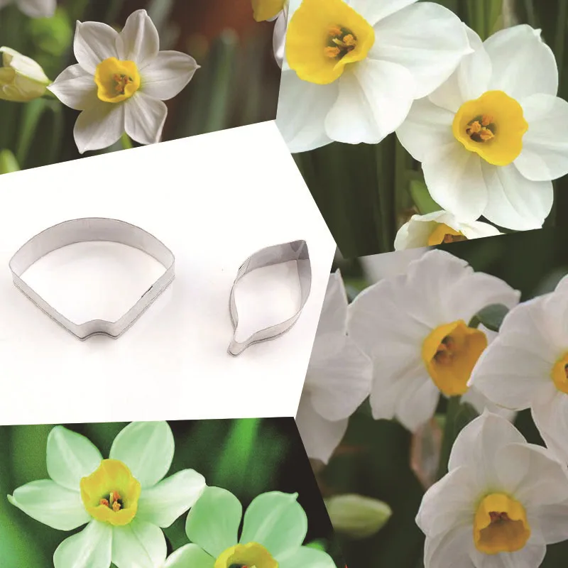 9371449753_521294732