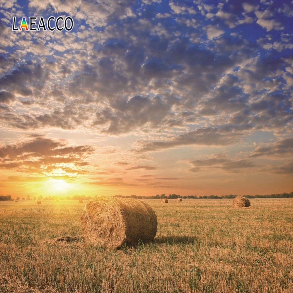 Laeacco закат ферма поле сена сценические фотографические фоны Декор портрет