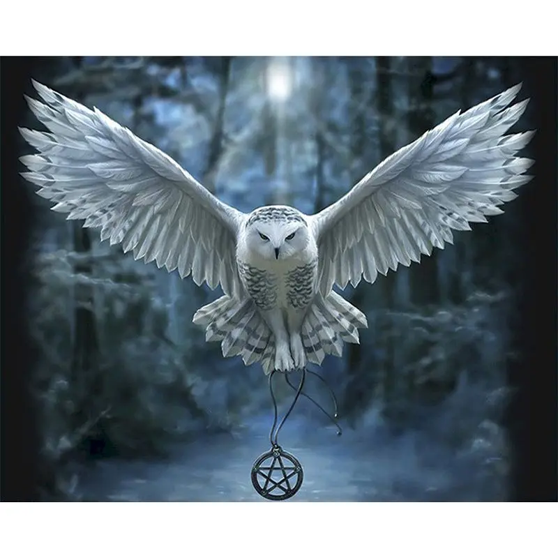 

SELILALI Paint By Numbers Kits For Adults Flying Owl Animal Painting 50x65cm Framed On Canvas Acrylic Painted Home Decor Photo