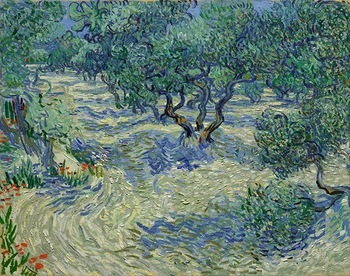 

colorings pictures by numbers with Van Gogh Olive Tree Orchard abstract scenery oil picture painting by numbers framed Home