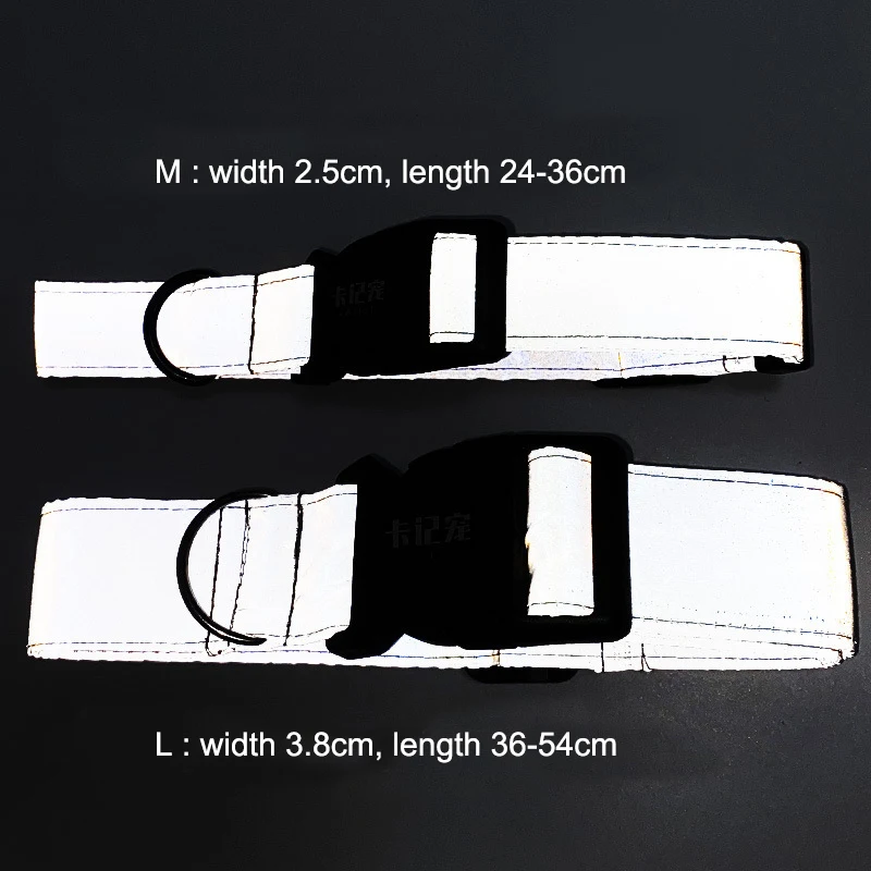Personalized Collar (11)