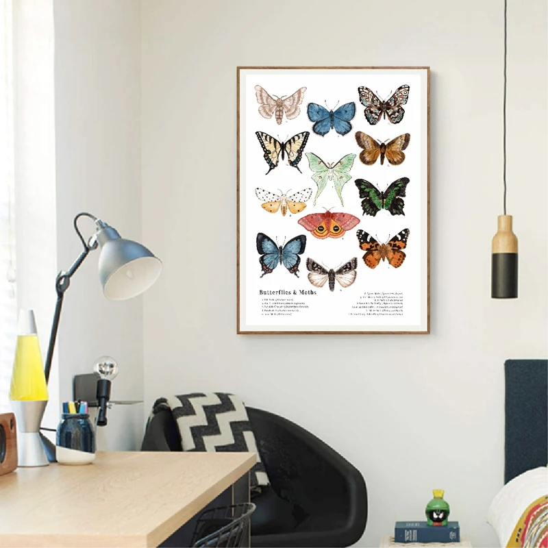 Butterflies-And-Moths-Canvas-Art-Prints-Insect-Nature-Art-Canvas-Painting-Wall-Picture-Educational-Poster-Kindergarten (2)