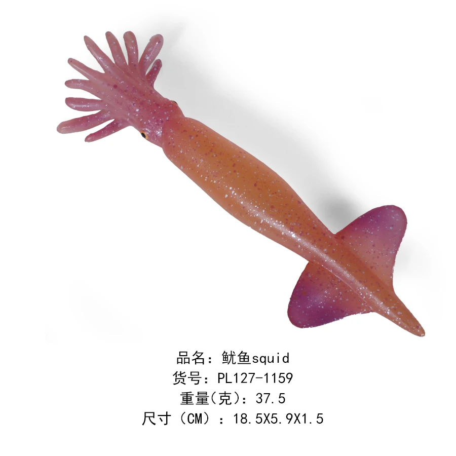 鱿鱼squid-1159