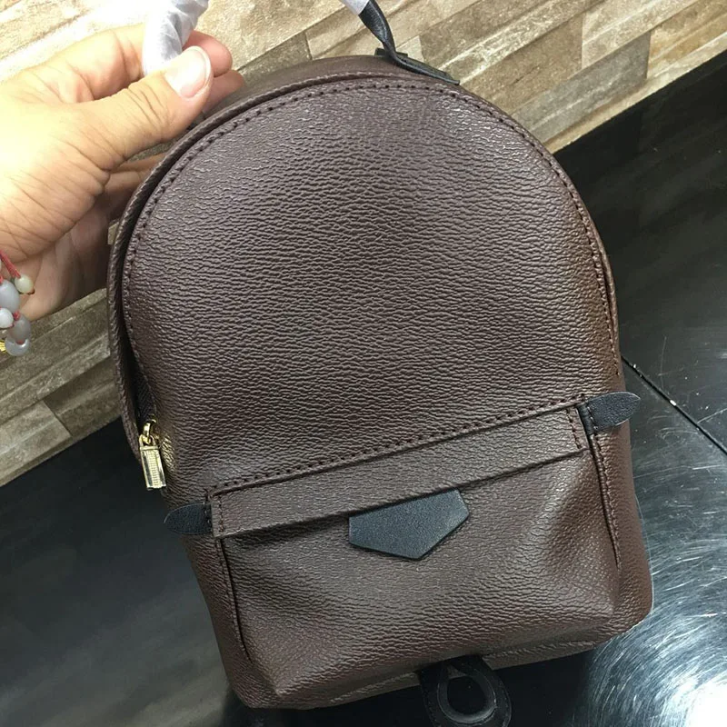 Luxury-Backpack-Authentic-Canvas-Palm-Springs-Mini-Women-Bags-Famous-Designer-Classics-Lady-Shoulder-Bag-With (1)