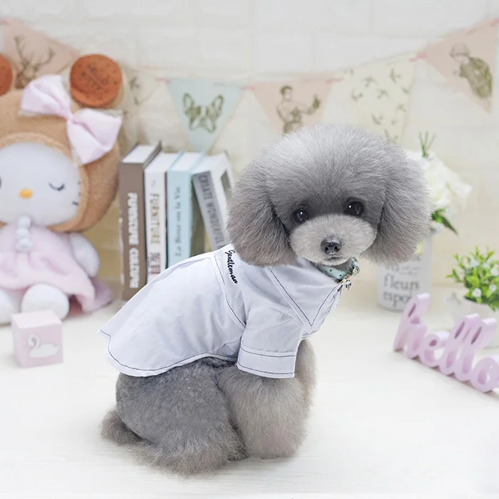 Защитная одежда для кошки куртки для кошек куртка для кошек наряд теплая одежда для домашних животных Костюм для домашних животных с кроликом - Цвет: white