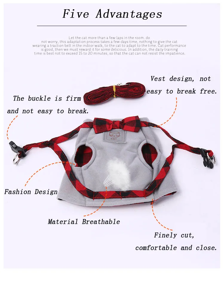 3764320737_1409840576