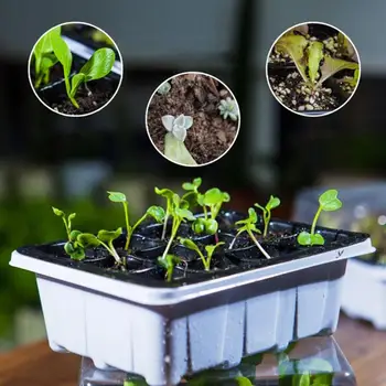 

10 Sets Plant Growing Tray 12-Cell Creative Plastic Seed Tray Plant Grow Tray