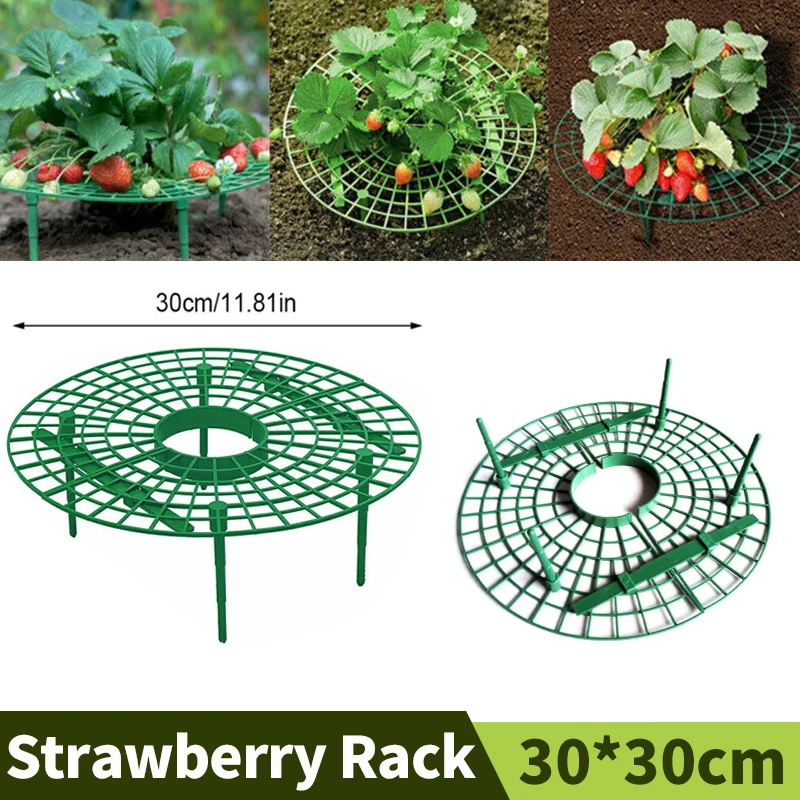 Holder For Strawberry Support Plante Strawberry Stand Fruit Support