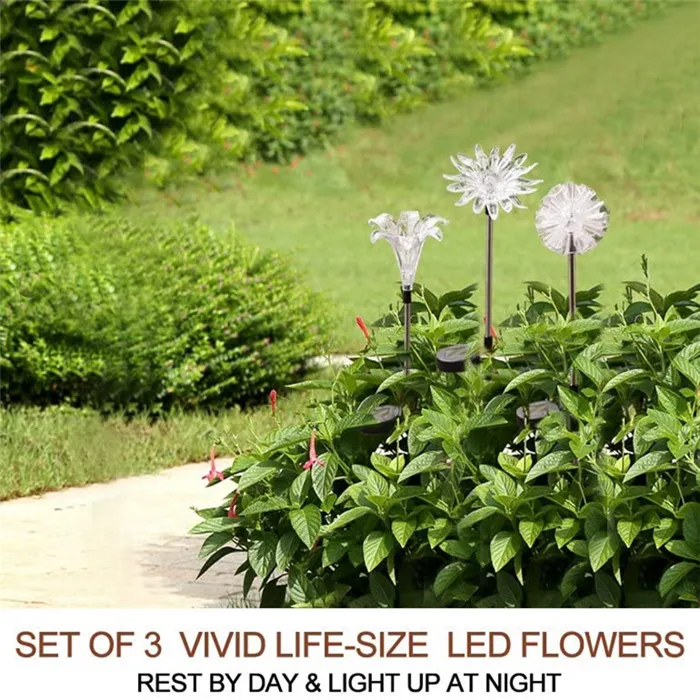 Solar Garden Light Outdoor 5