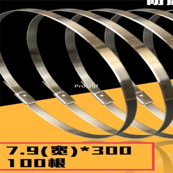 

Ngryise 100Pcs A Set 7.9mm*30cm strapping stainless steel belt
