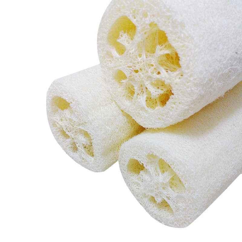 loofah sponge (4)